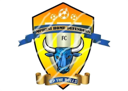 Mpheni Home Defenders FC