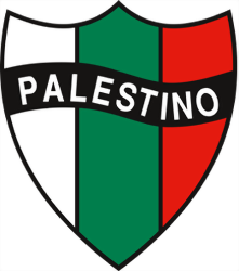 Palestino Copa Libertadores 2020 Fixture And Results