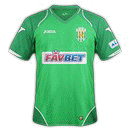 Karpaty Lviv Second Jersey Ukraine Premier League 2013/2014