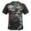 Ternana Third Jersey Serie B 2014/2015