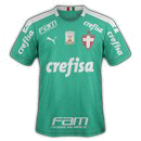 Palmeiras Third Jersey Brasileirão 2019