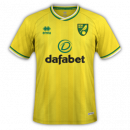 Norwich City Jersey The Championship 2020/2021