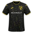 Norwich City Second Jersey The Championship 2024/2025