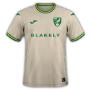 Norwich City Third Jersey The Championship 2024/2025