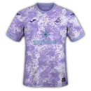 Swansea City Third Jersey The Championship 2024/2025