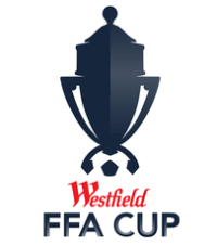 FFA Cup 2014