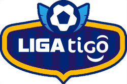 División Profesional 2023