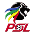 Premier Soccer League 2010/2011