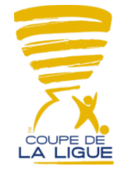 Coupe de la Ligue 2012/2013